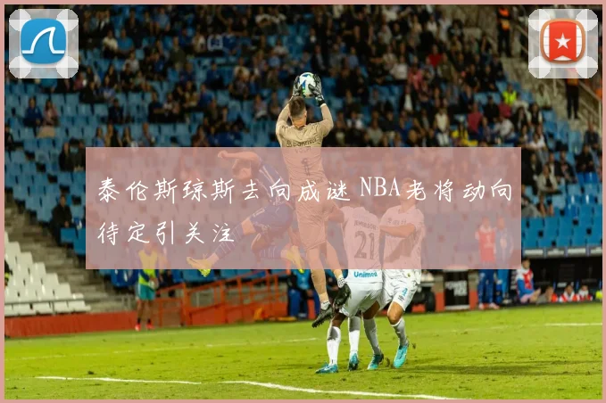 泰伦斯琼斯去向成谜 NBA老将动向待定引关注