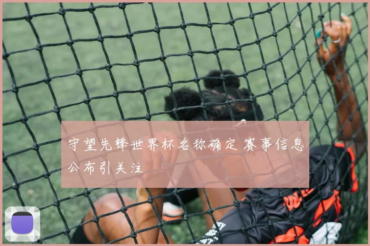 守望先锋世界杯名称确定 赛事信息公布引关注